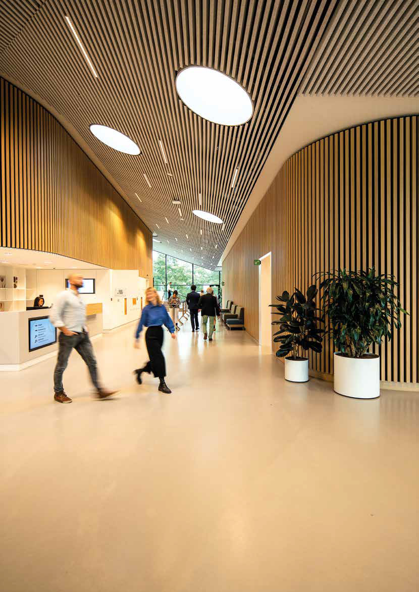 Belebter moderner Büroflur mit hölzernem Design und runden Leuchten